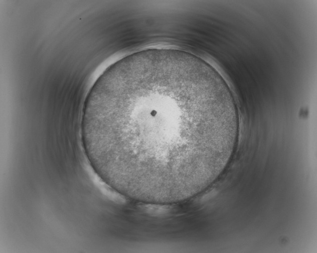 X0000112010861200909141124