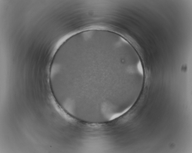 X0000112010862200909141124