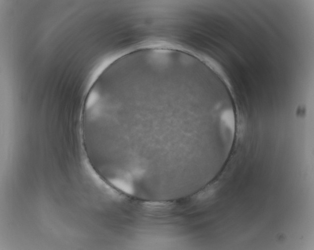 X0000112010863200909141124