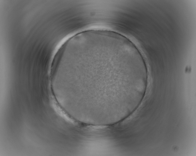 X0000112010864200909141124