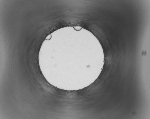 X0000112010865200909141123