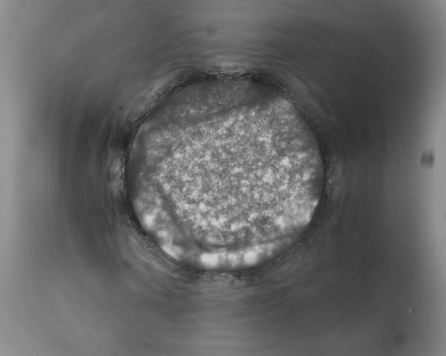 X0000112010866200909141123
