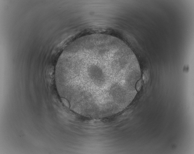 X0000112010867200909141123