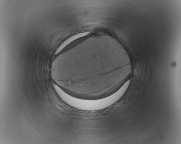 X0000112010868200909141123