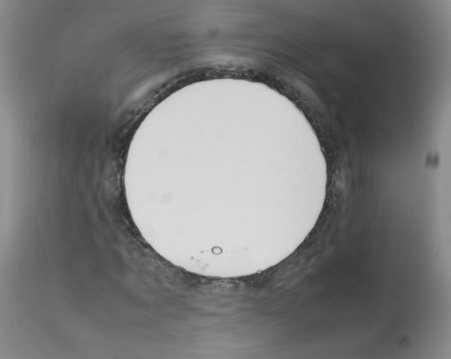 X0000112010869200909141123