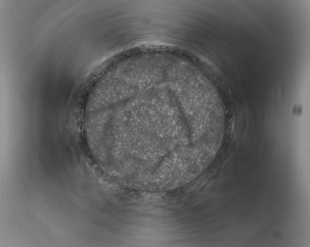 X0000112010870200909141123