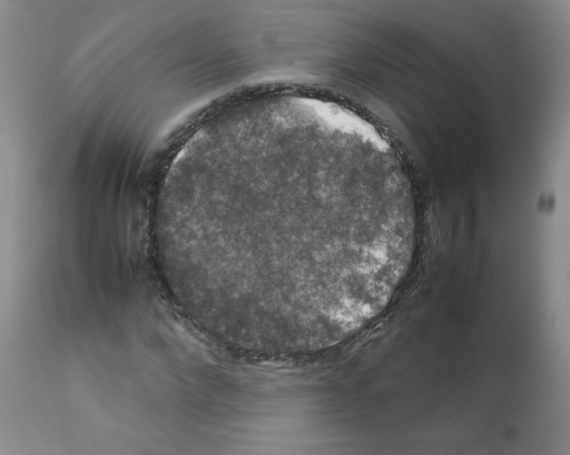 X0000112010872200909141123
