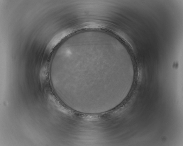 X0000112010874200909141123