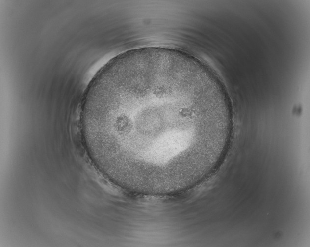 X0000112010875200909141123