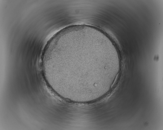 X0000112010876200909141123