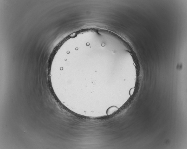 X0000112010877200909141123