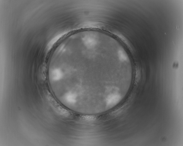 X0000112010878200909141123