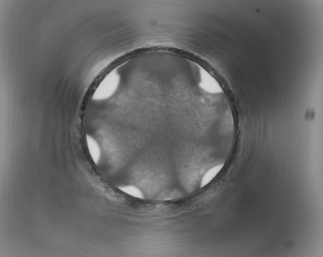 X0000112010879200909141123
