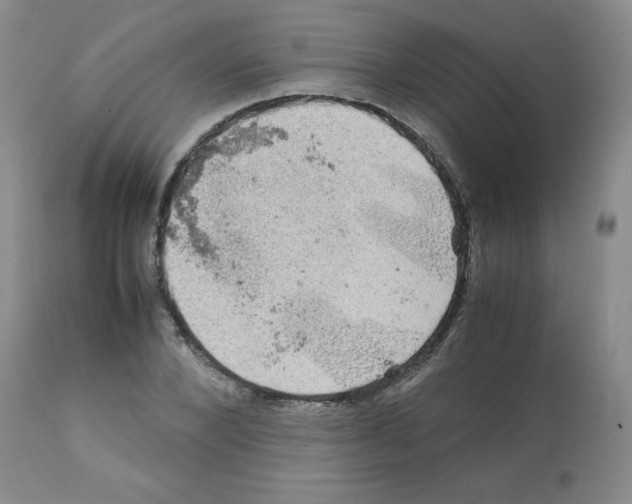 X0000112010880200909141123