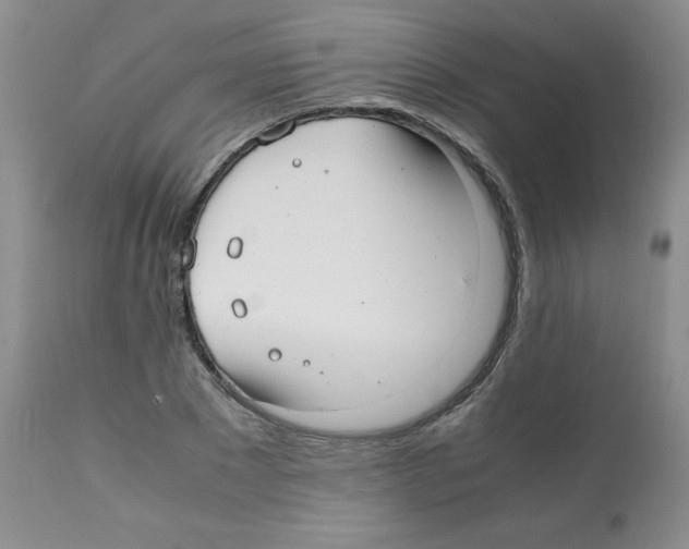 X0000112010881200909141123