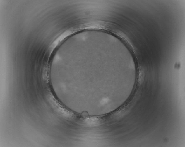 X0000112010882200909141123