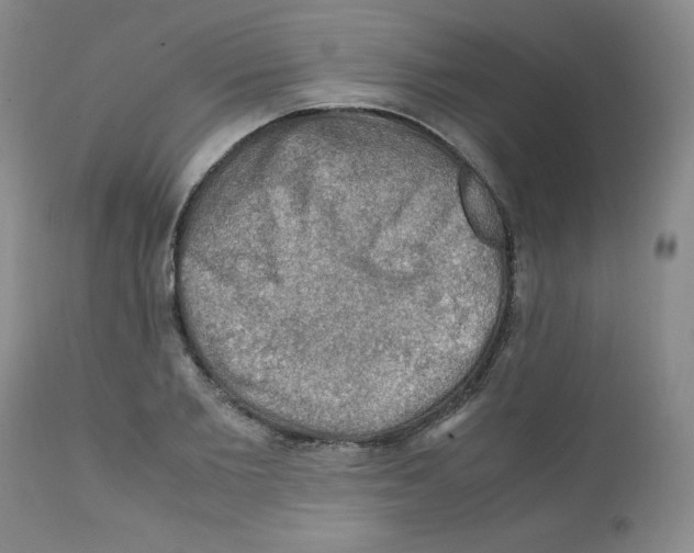 X0000112010885200909141123