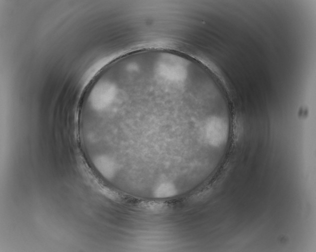 X0000112010886200909141123