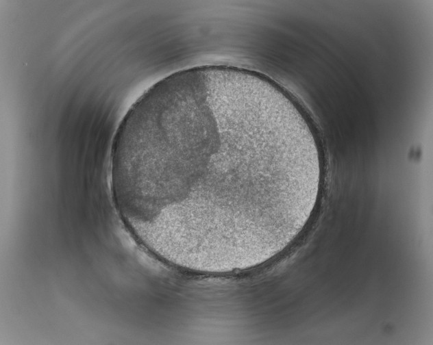 X0000112010888200909141123