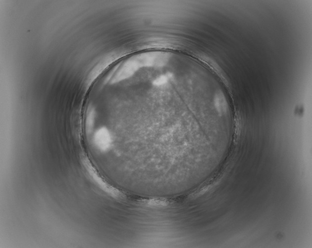 X0000112010890200909141123