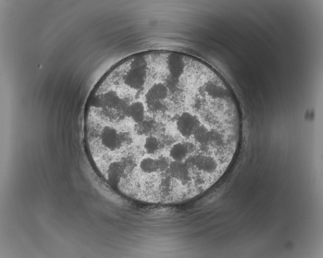 X0000112010891200909141123