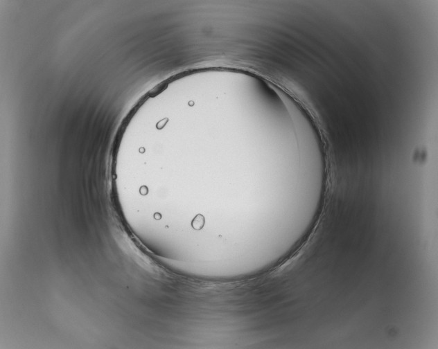 X0000112010892200909141123