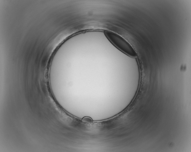 X0000112010893200909141123