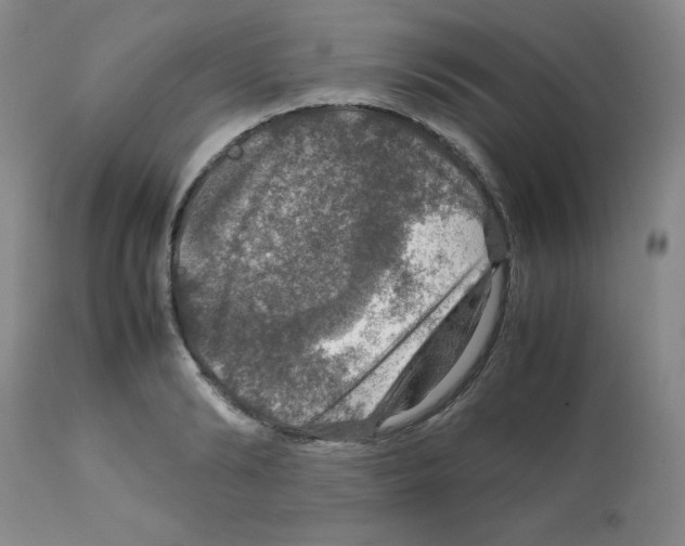 X0000112010894200909141123