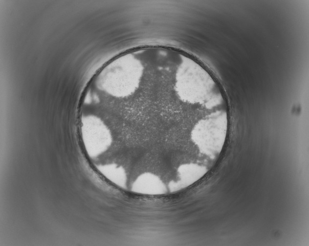 X0000112010895200909141123