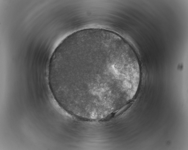 X0000112010896200909141123