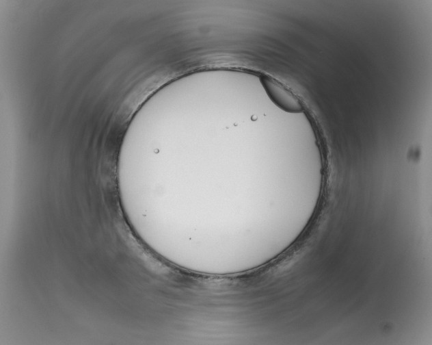 X0000112010897200909141123