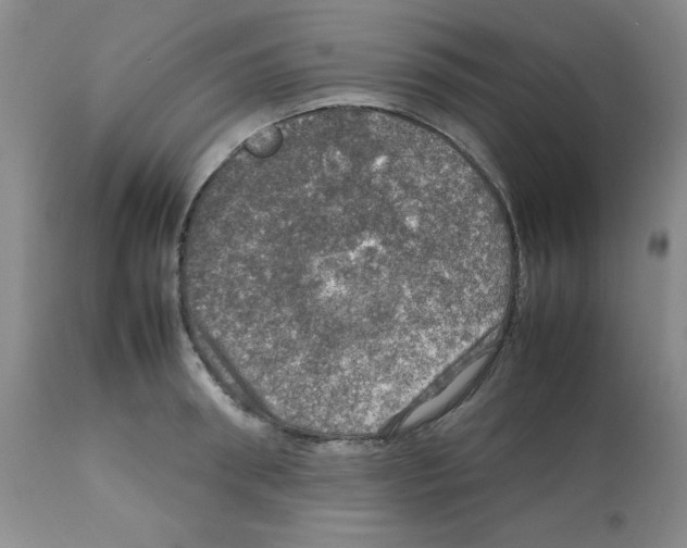 X0000112010898200909141123