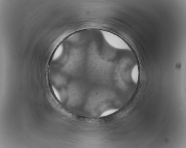 X0000112010899200909141123