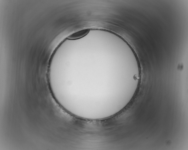 X0000112010901200909141123