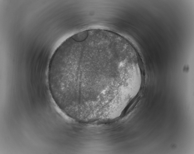 X0000112010902200909141123