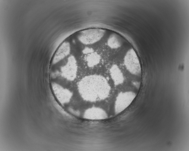X0000112010903200909141123