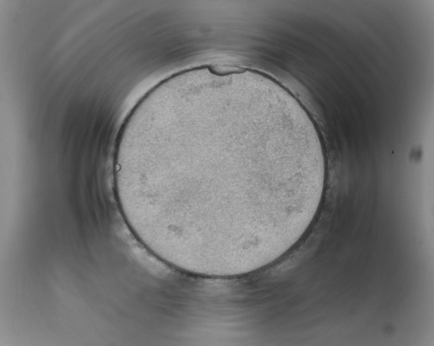 X0000112010904200909141123