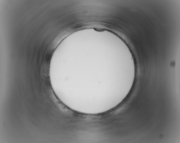 X0000112010905200909141123