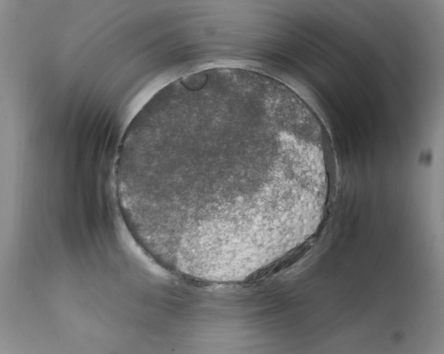 X0000112010906200909141123