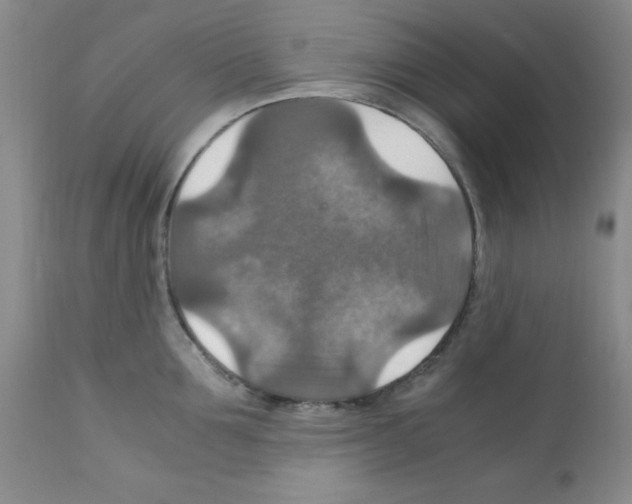 X0000112010907200909141123