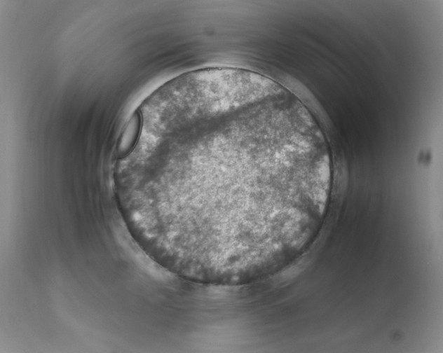 X0000112010908200909141123