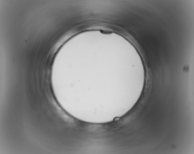 X0000112010909200909141123
