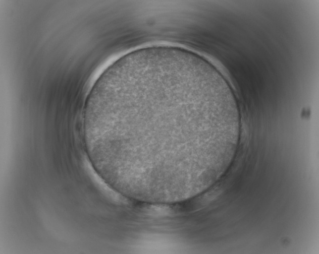 X0000112010911200909141123