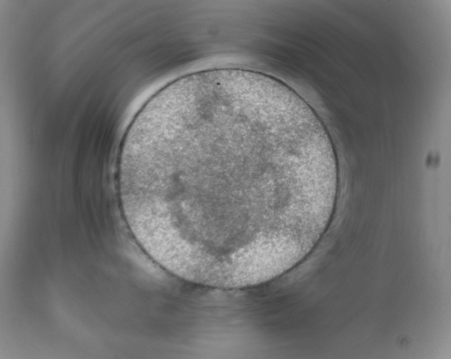X0000112010912200909141123