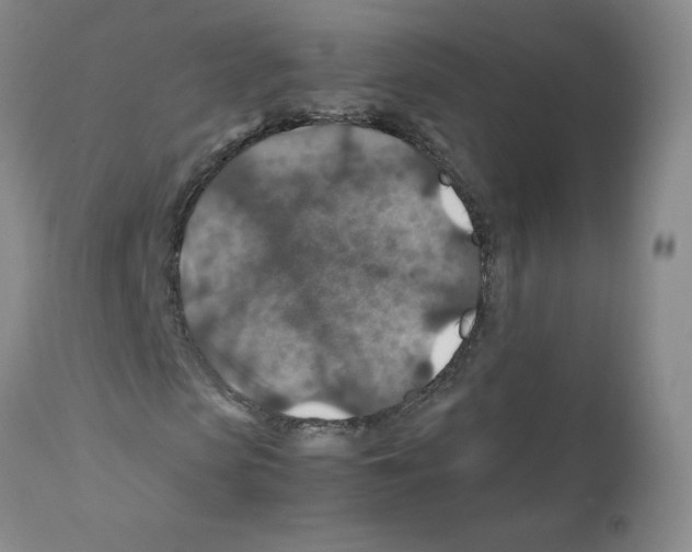 X0000112010913200909141122