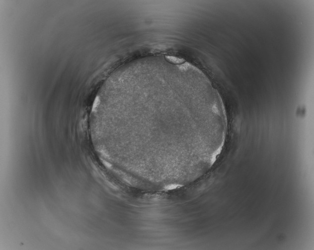 X0000112010914200909141122