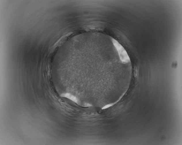 X0000112010915200909141122