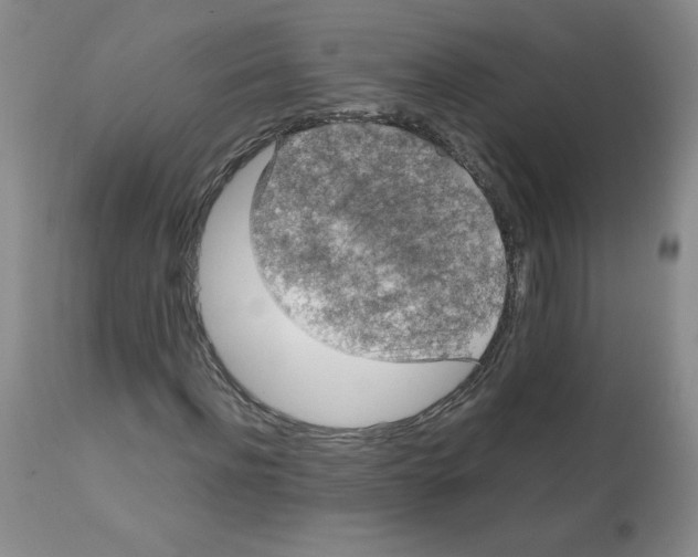 X0000112010916200909141122