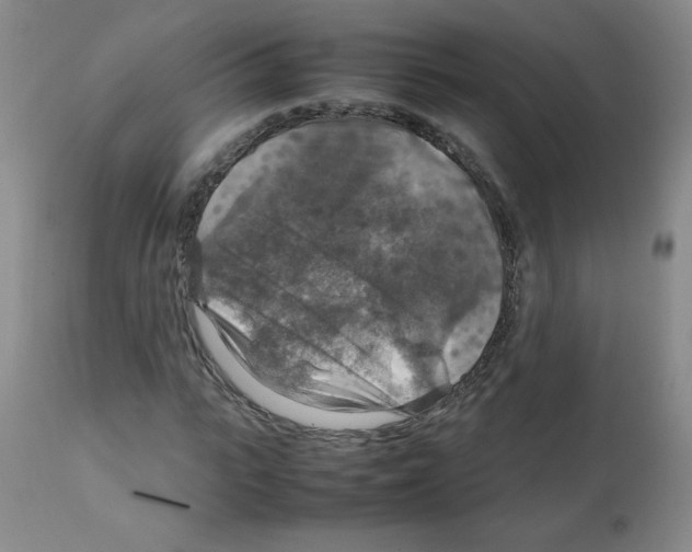 X0000112010919200909141122