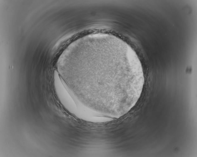 X0000112010920200909141122